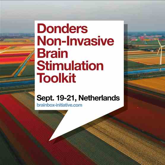 Donders Brain Stimulation Toolkit